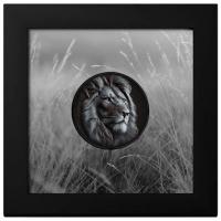 Cook Island - 5 CID Black and White Lion 2026 - 1 Oz Silber Obsidian Black