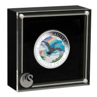 Australien - 1 AUD Schwan Coin Show Special ANDA 2026 - 1 Oz Silber Color