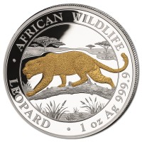 Somalia African Wildlife Leopard 2026 1 Oz Silber Gilded