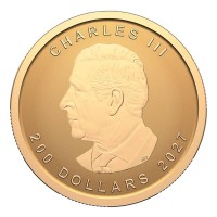 Kanada - 200 CAD Purest Maple Leaf 2027 - 1 Oz Gold Reverse Proof