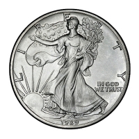 USA 1 USD Silver Eagle 1989 1 Oz Silber