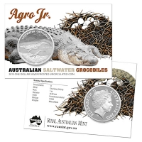 Australien - 1 AUD Krokodil Serie Agro Jr. 2015 - 1 Oz Silber Blister
