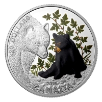 Kanada - 20 CAD Tierbabies Schwarzbär 2015 - 1 Oz Silber
