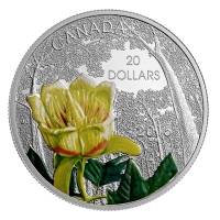 Kanada - 20 CAD Wälder Carolinischer Tulpenbaum 2015 - 1 Oz Silber