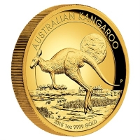 Australien - 100 AUD Känguru 2015 - 1 Oz Gold Proof HR