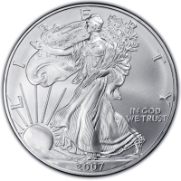 USA 1 USD Silver Eagle 2007 1 Oz Silber