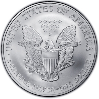USA 1 USD Silver Eagle 2007 1 Oz Silber Rückseite