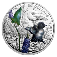 Kanada - 20 CAD Tierbabies Eistaucher 2016 - 1 Oz Silber