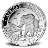 Somalia African Wildlife Elefant 2010 1 Oz Silber