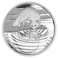 Kanada - 10 CAD Reflection of Wildlife Polarfuchs - 1/2 Oz Silber