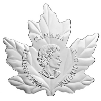 Kanada - 10 CAD Shaped Maple Gänse 2016 - 1/2 Oz Silber