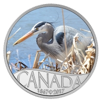Kanada - 10 CAD 150 Jahre Kanada Kanadareiher 2017 - Silbermnze