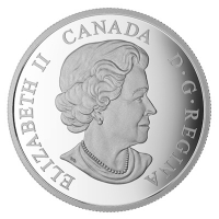 Kanada - 20 CAD Brilliant Birch Leaves Drusy Stone 2017 - 1 Oz Silber