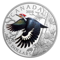 Kanada - 20 CAD Birds Helmspecht 2016 - 1 Oz Silber