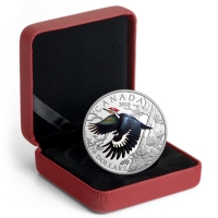 Kanada - 20 CAD Birds Helmspecht 2016 - 1 Oz Silber