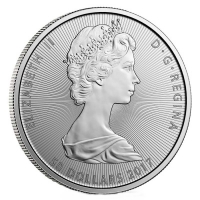 Kanada - 50 CAD Niagara Falls 2017 - 10 Oz Silber