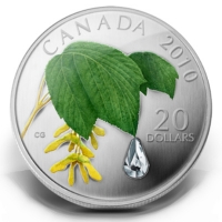 Kanada - 20 CAD Maple Leaf Regentropfen 2010 - 1 Oz Silber