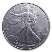 USA - 1 USD Silver Eagle 2004 - 1 Oz Silber