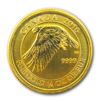 Kanada - 10 CAD Schneefalke 2016 - 1/4 Oz Gold