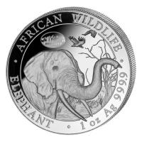 Somalia - African Wildlife Elefant 2017 - 1 Oz Silber Privy ANA