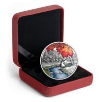 Kanada - 20 CAD Juwel des Regens Zuckerahorn 2017 - 1 Oz Silber