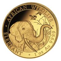 Somalia - 1000 Shillings Elefant 2018 - 1 Oz Gold