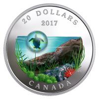 Kanada - 20 CAD Unter dem Meer Schildkrte 2017 - 1 Oz Silber