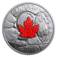 Kanada - 20 CAD Majestic Maple Leaves Drusy Stone 2017 - 1 Oz Silber