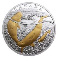 Kanada - 20 CAD Sea to Sea Beluga Wal 2017 - 1 Oz Silber