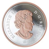 Kanada - 0,25 CAD Big Coin Karibu 2017 - 5 Oz Silber Gilded