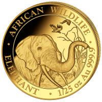 Somalia - 50 Shillings Elefant 2018 - 1/25 Oz Gold
