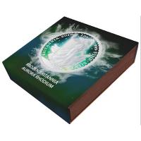 Großbritannien - 2 GBP Frozen Britannia 2017 - 1 Oz Silber Rhodium