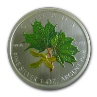 Kanada - 5 CAD Maple Leaf 2002 - 1 Oz Silber Color