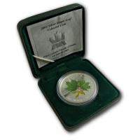 Kanada - 5 CAD Maple Leaf 2002 - 1 Oz Silber Color