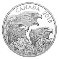 Kanada - 15 CAD Prchtige Weikopfseeadler 2018 - 1 Oz Silber