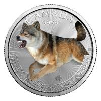 Kanada - 5 CAD Predator Serie Wolf 2018 - 1 Oz Silber Color