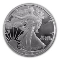 USA - 1 USD Silver Eagle 1988 - 1 Oz Silber PP