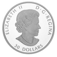 Kanada - 30 CAD 110 Jahre Royal Canadian Mint 2018 - 2 Oz Silber