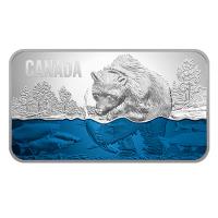 Kanada - 25 CAD Lachswanderung 2018 - Silber