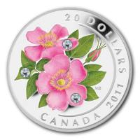 Kanada - 20 CAD Wilde Rose 2011 - 1 Oz Silber PP