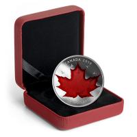 Kanada - 50 CAD Maple Leaf 2019 - 5 Oz Silber
