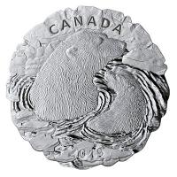 Kanada - 50 CAD Eisbren 2019 - 5 Oz Silber
