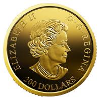 Kanada - 200 CAD Atlantic Puffins 2019 - 1 Oz Gold