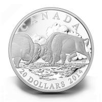 Kanada - 20 CAD Bison Der Kampf - 1 Oz Silber