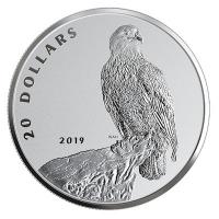 Kanada - 20 CAD Weikopfseeadler: Der Khne! 2019 - 1 Oz Silber