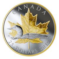 Kanada - 25 CAD Symbole: Eistaucher Loon 2019 - 1 Oz Silber Gilded