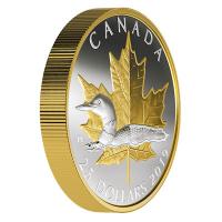 Kanada - 25 CAD Symbole: Eistaucher Loon 2019 - 1 Oz Silber Gilded