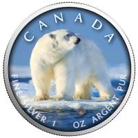 Kanada - 5 CAD Maple Wildtiere Unterwegs Eisbr 2019 - 1 Oz Silber Color