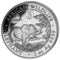 Somalia - African Wildlife Elefant 2019 WMF Berlin - 1 Oz Silber
