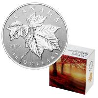 Kanada - 10 CAD Silber Maple Leaf 2019 - 1/2 Oz Silber